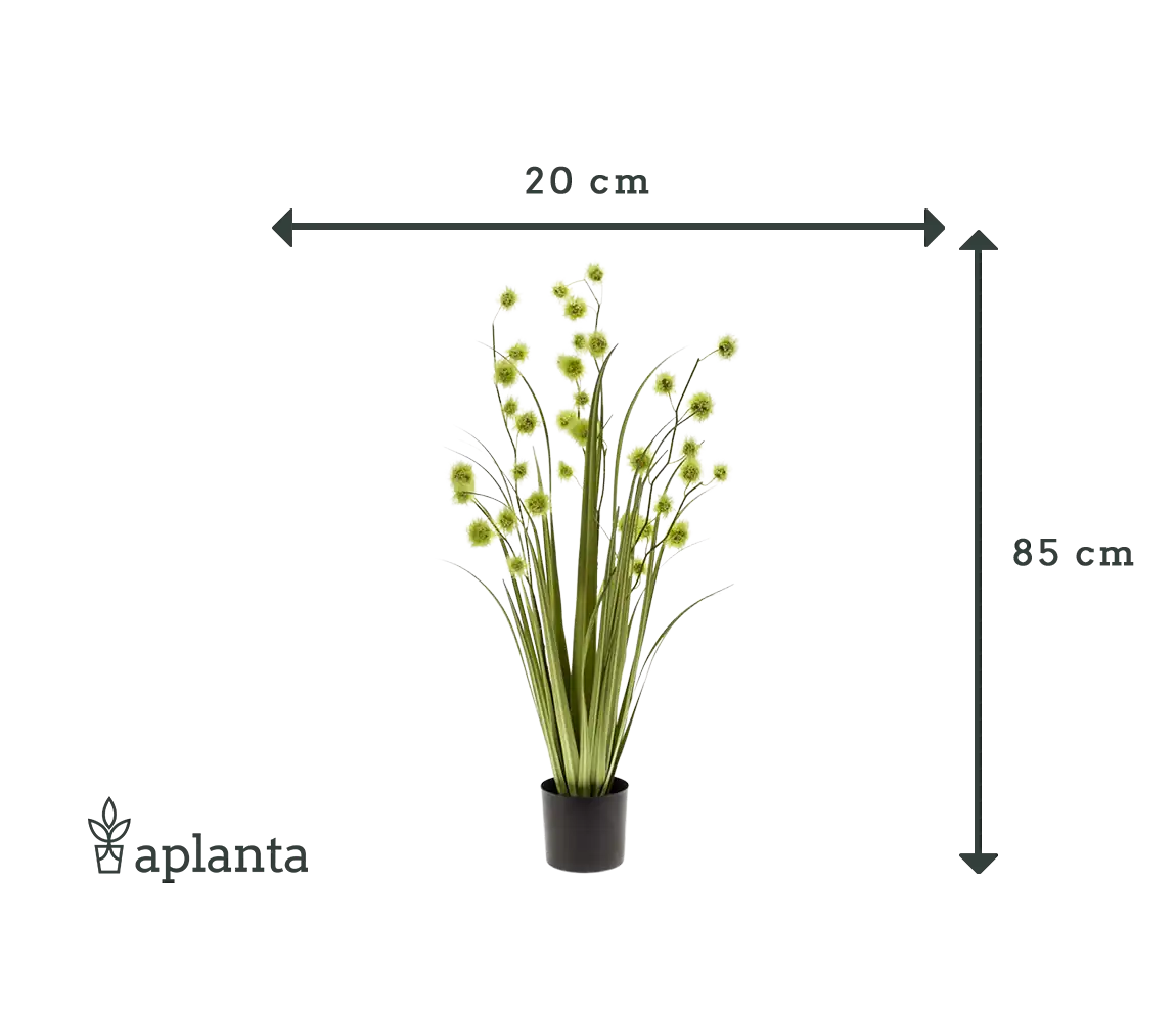 Künstliches Pompom Gras - Ibrahim | 85 cm